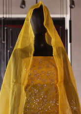 Royal Fashion Exclusive Organza Aar & Gota 2 Piece Unstitched RF24BEC-1-206196